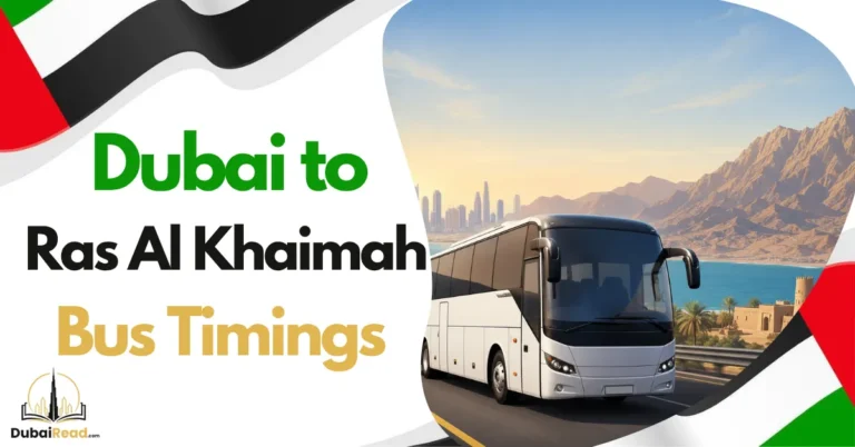 Dubai to Ras Al Khaimah Bus Timings